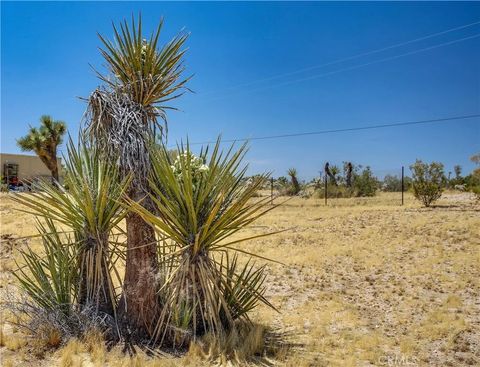 Tiny photo for 5407 Paradise View Road, Yucca Valley, CA 92284 (MLS # JT25238797)