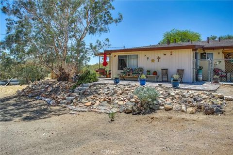 Tiny photo for 5407 Paradise View Road, Yucca Valley, CA 92284 (MLS # JT25238797)