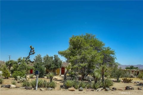 Tiny photo for 5407 Paradise View Road, Yucca Valley, CA 92284 (MLS # JT25238797)