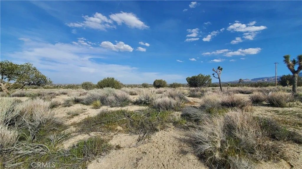 Photo of 0 Antelope Hwy (138) &amp; West Street, Llano, CA 93544 (MLS # SR26011350)