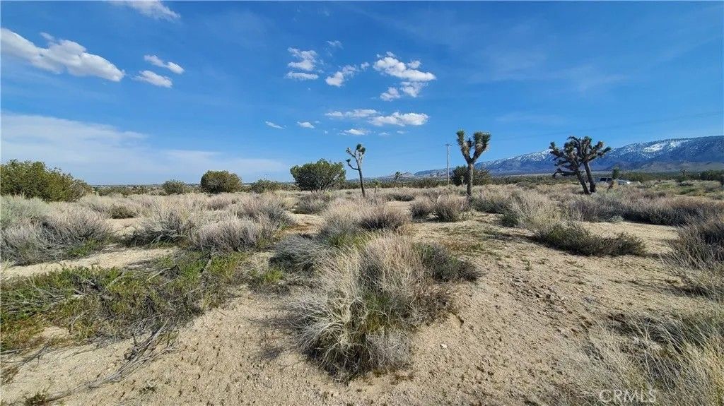 Photo of 0 Antelope Hwy (138) &amp; West Street, Llano, CA 93544 (MLS # SR26011350)