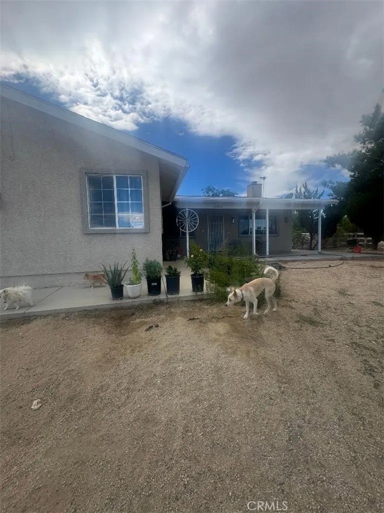 12810 E Avenue X