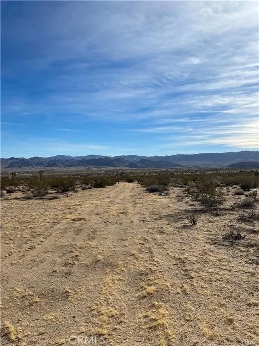 Photo of 7 Bellflower, Joshua Tree, CA 92252 (MLS # OC26025078)