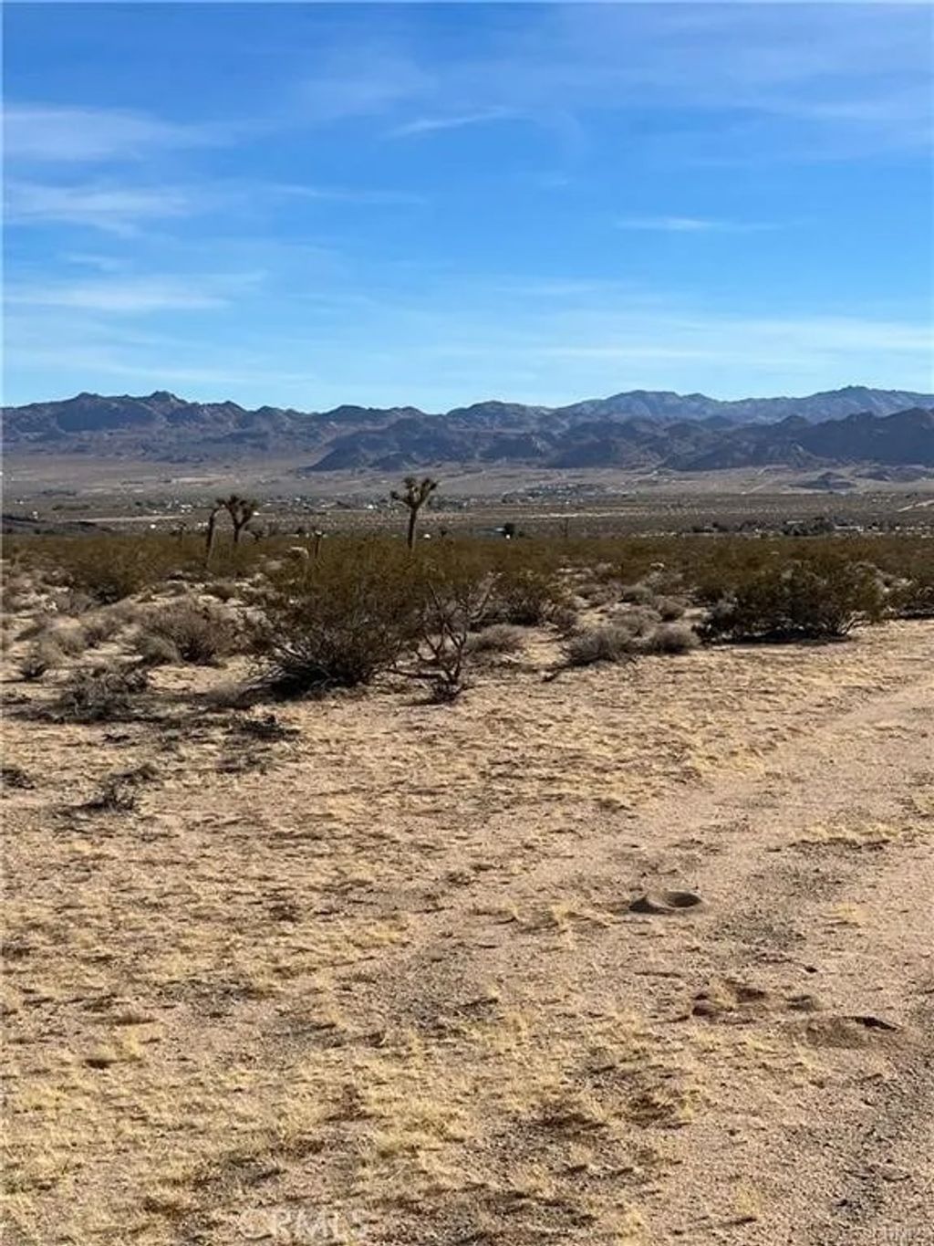 Photo of 7 Bellflower, Joshua Tree, CA 92252 (MLS # OC26025078)