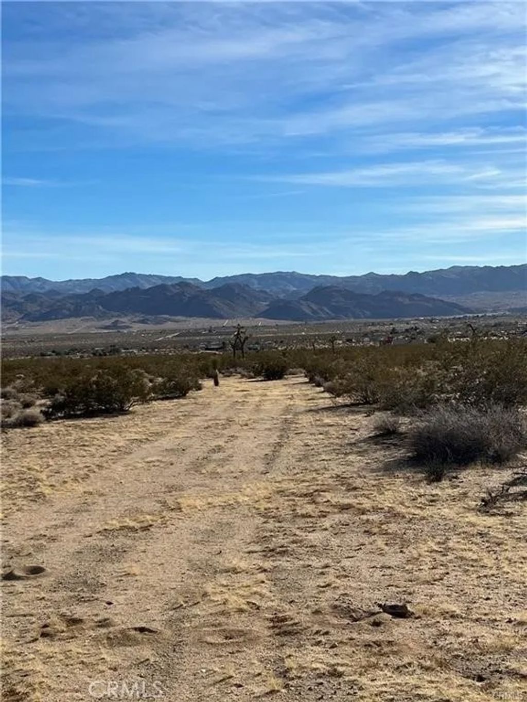 Photo of 7 Bellflower, Joshua Tree, CA 92252 (MLS # OC26025078)