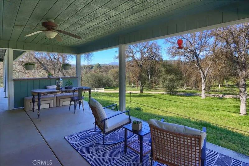 4421 Scrubby Oak