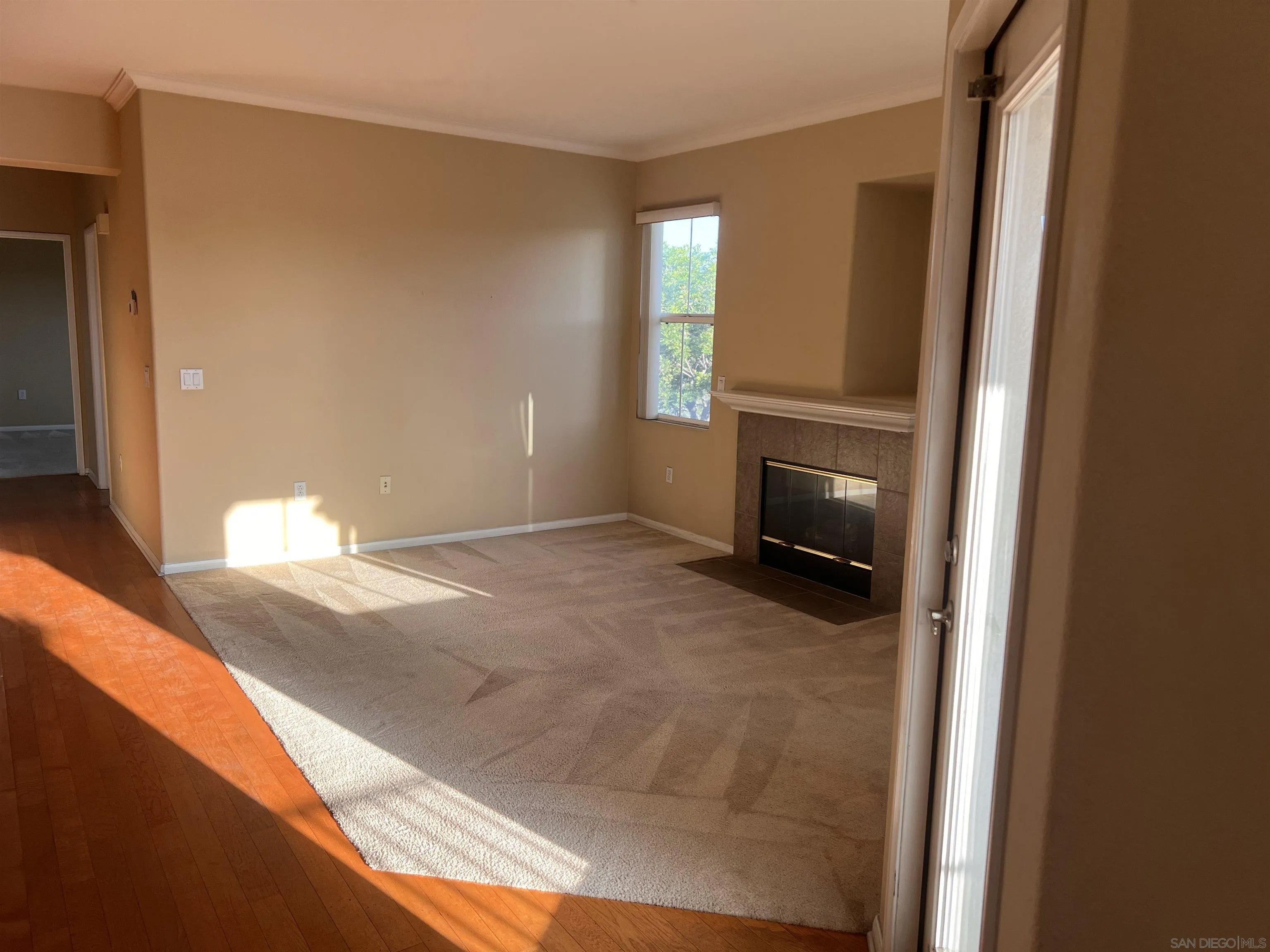 10910 Serafina Ln 54