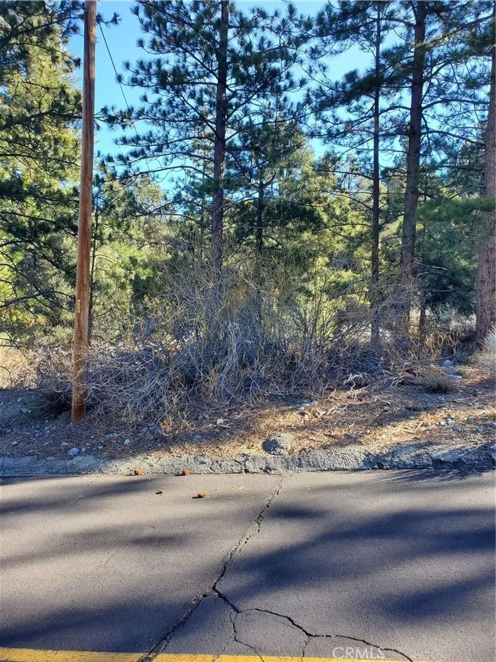 Photo of 1605 Banff Ct, Pine Mountain Club, CA 93280 (MLS # SR26008694)