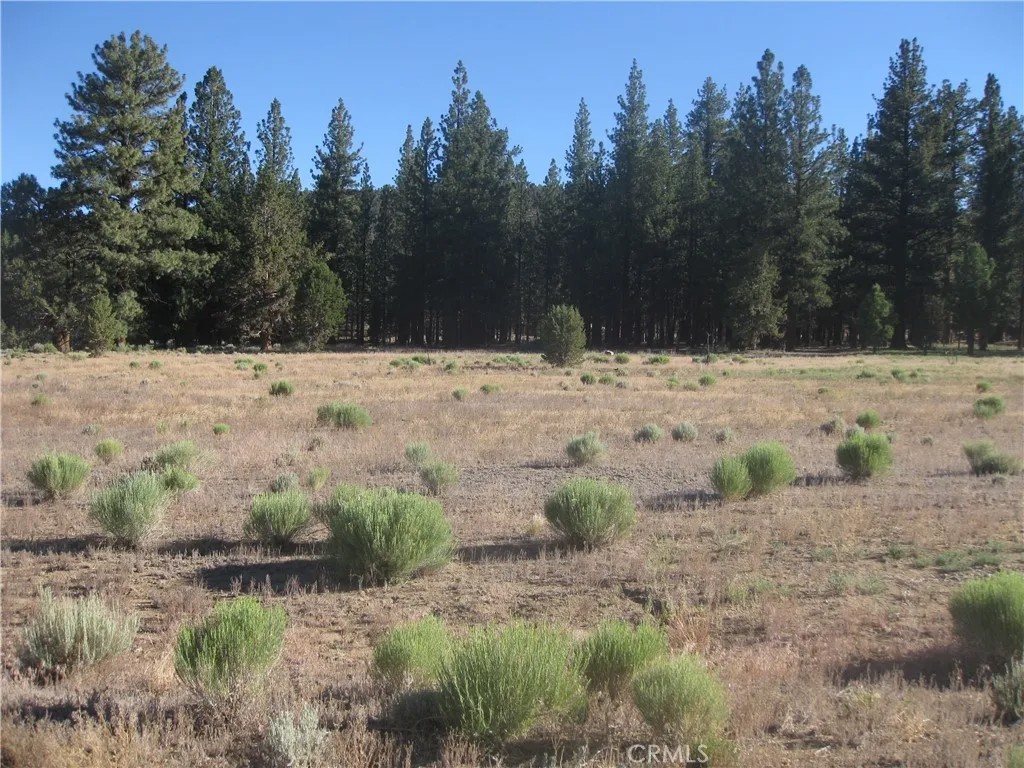 2818 Erwin Ranch Rd