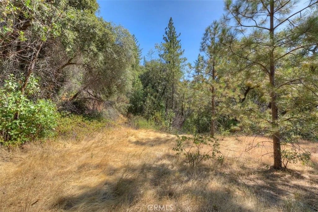 Photo of 8700 Oro Quincy, Berry Creek, CA 95916 (MLS # OR26011145)