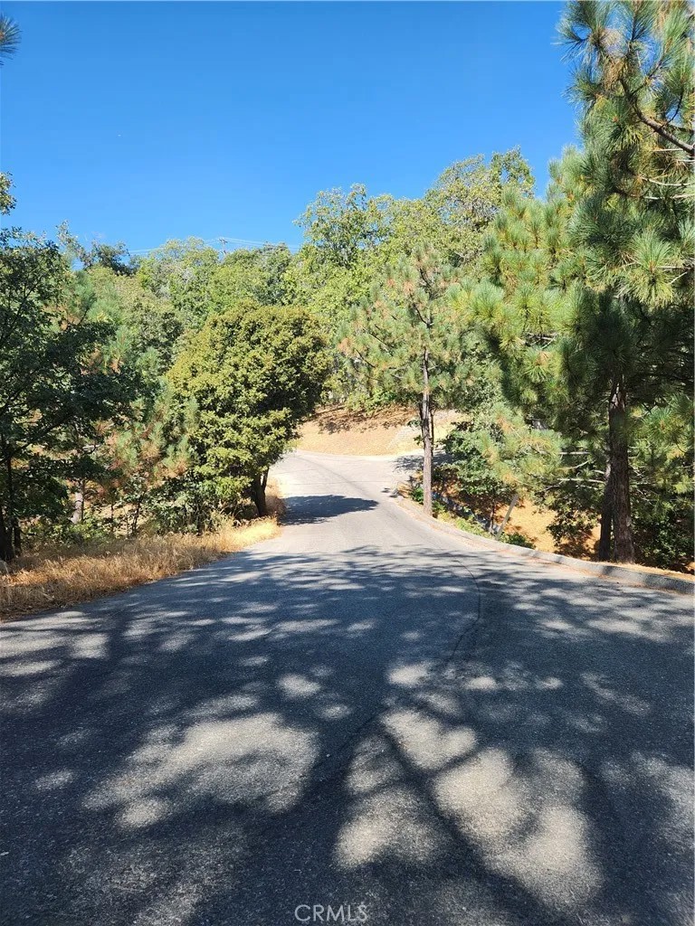 1563 Rock Ridge