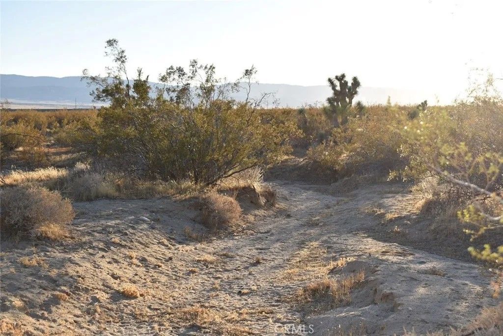 Photo of 19300 Astoria, Rosamond, CA 93560 (MLS # SR26006530)