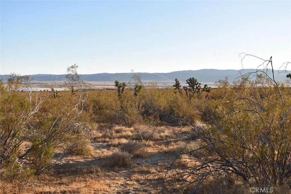 Photo of 19300 Astoria, Rosamond, CA 93560 (MLS # SR26006530)