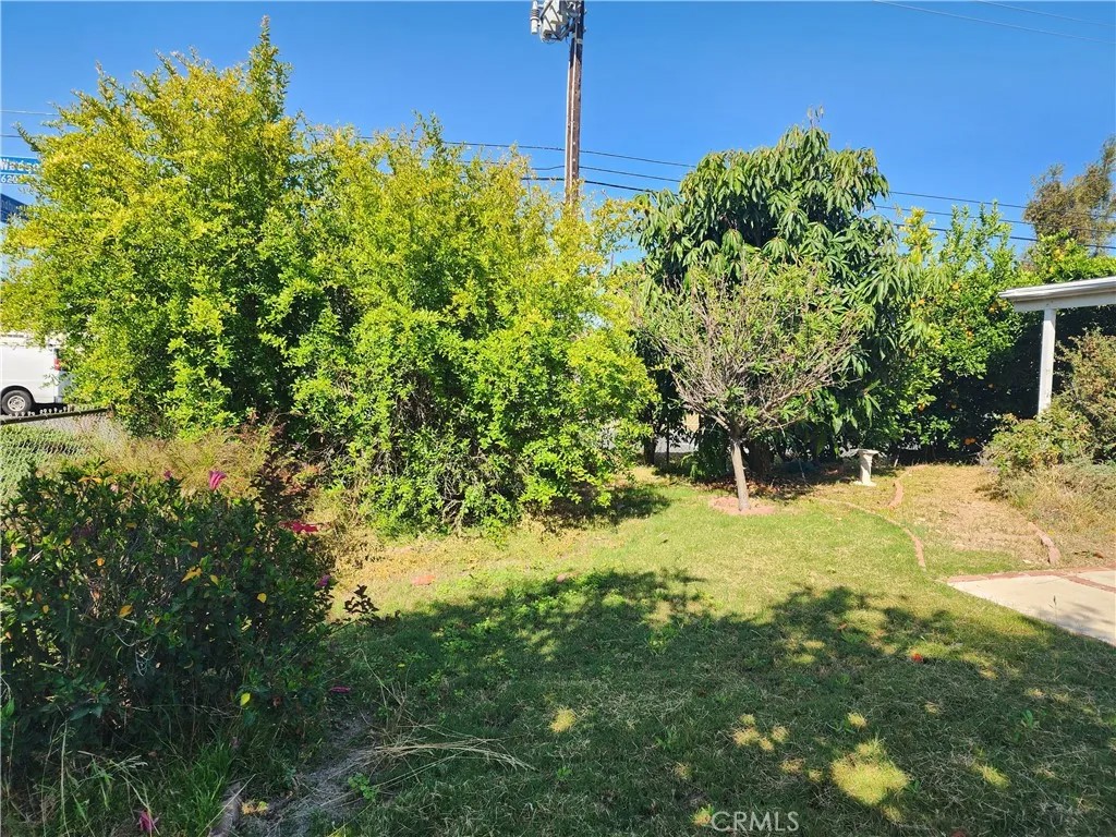 1551 Lyndhurst