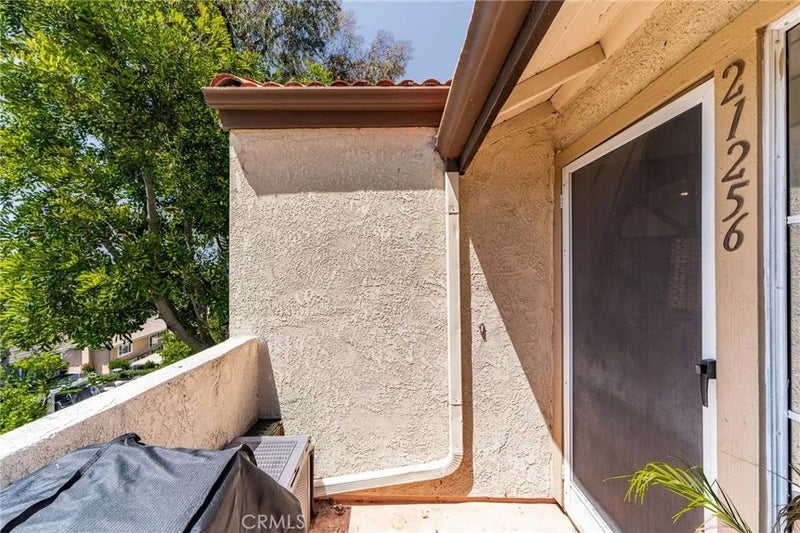 21256 Camelia