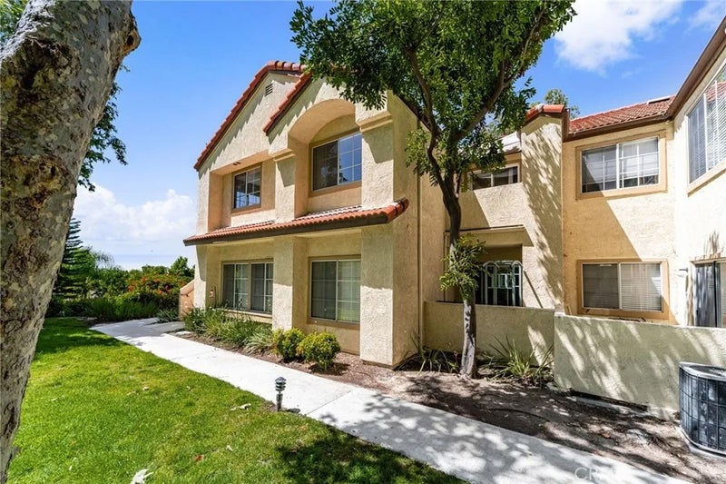 21256 Camelia