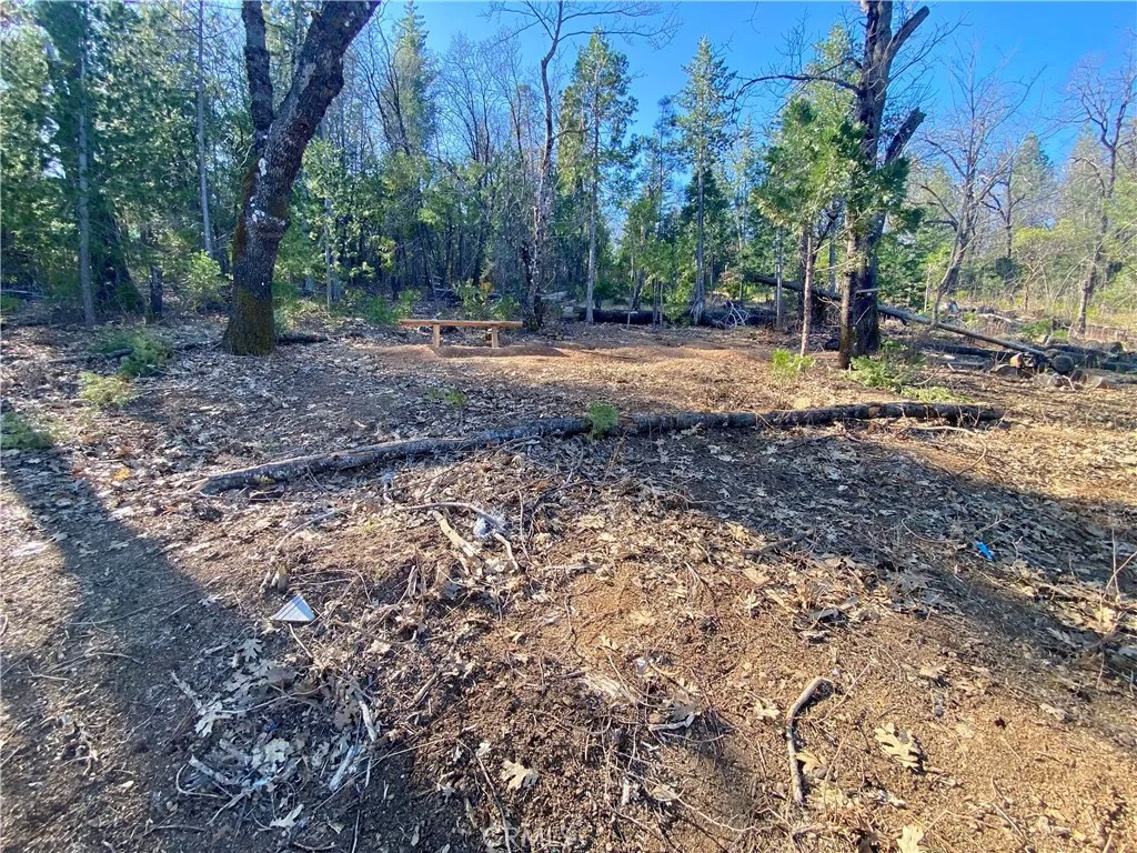 10130 Seigler Springs North