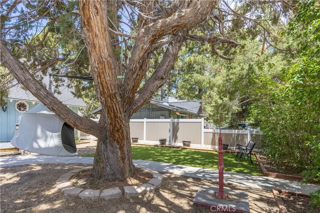1037 Sequoia Drive