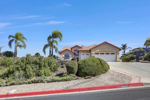 Photo of 8983 Chestnut Roan Way, Alpine, CA 91901 (MLS # 250041757)