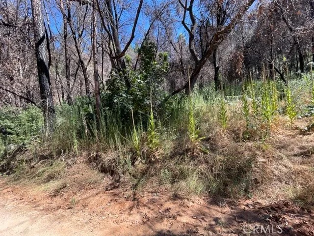 27 Broken Springs
