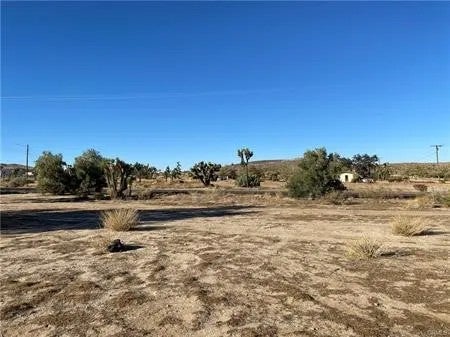 57031 Buena Vista