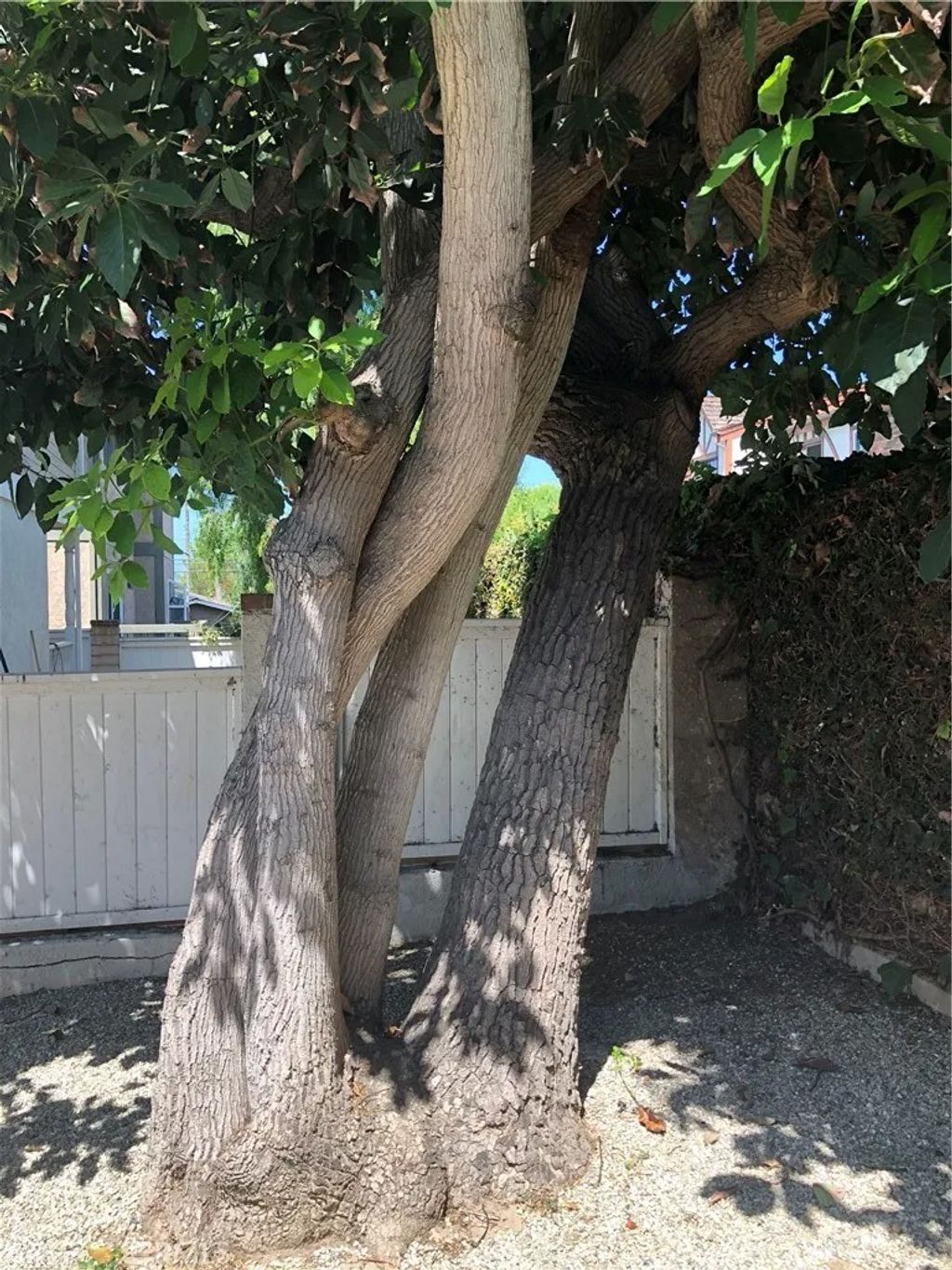 Photo of 620 N Guadalupe Avenue #B, Redondo Beach, CA 90277 (MLS # PV26011251)