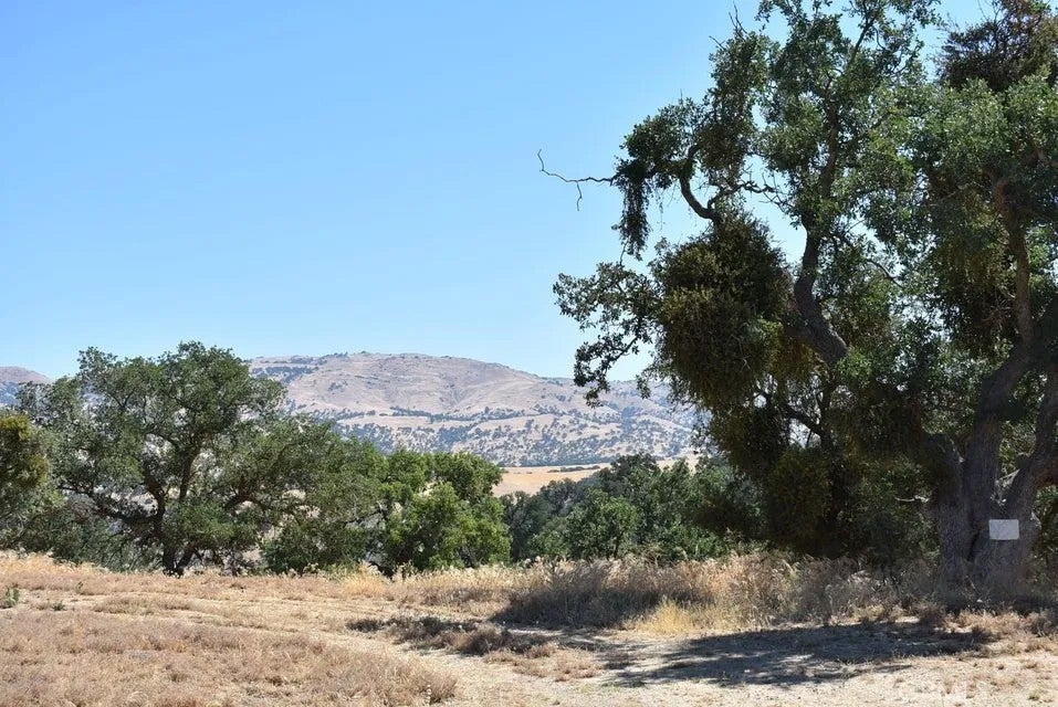 Photo of 22948 Rim Way, Tehachapi, CA 93561 (MLS # SR26175909)