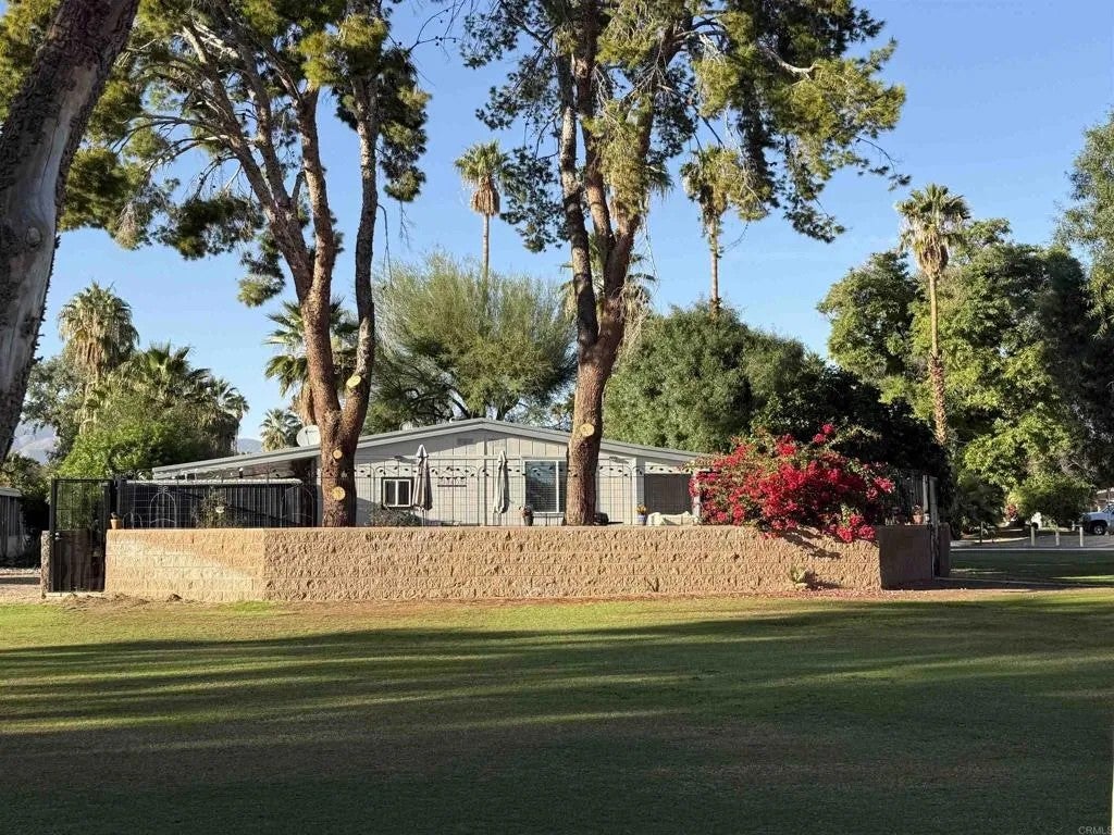 1010 Palm Canyon 324