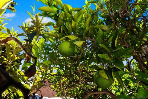 Tiny photo for 3612 Polk Avenue, San Diego, CA 92104 (MLS # 250043064)