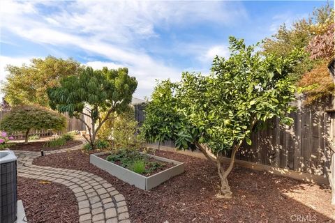 Tiny photo for 1679 Arch Way, Chico, CA 95973 (MLS # SN25247436)