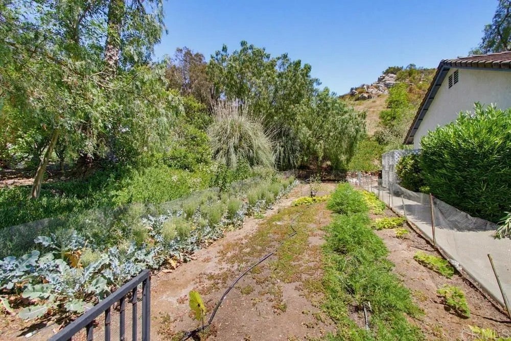 12725 Monte Vista Road