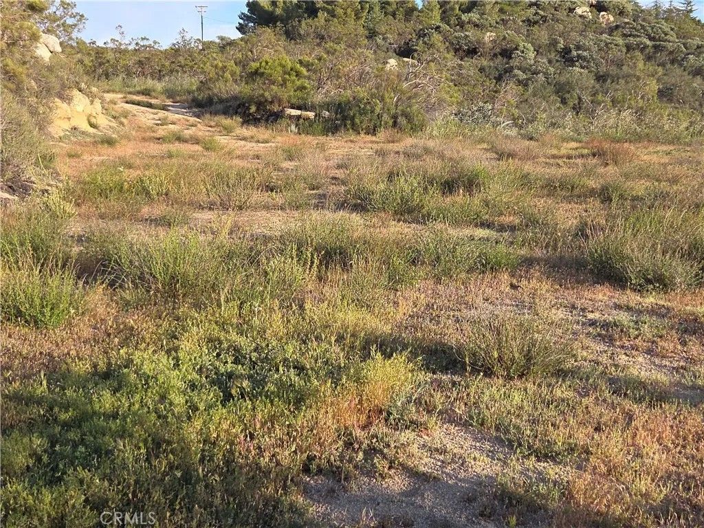 Photo of 1007 Roan Way, Aguanga, CA 92536 (MLS # SW26049808)