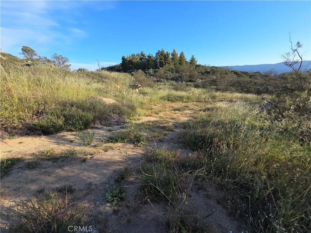 Photo of 1007 Roan Way, Aguanga, CA 92536 (MLS # SW26049808)