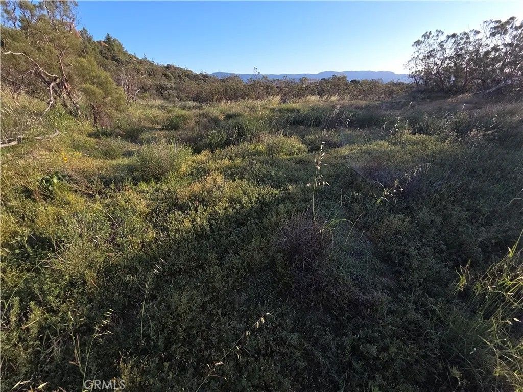 Photo of 1007 Roan Way, Aguanga, CA 92536 (MLS # SW26049808)