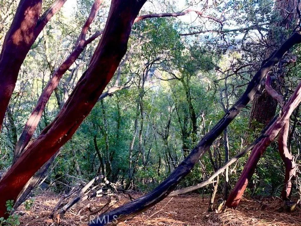 Photo of 7333 Tehama St, Nice, CA 95464 (MLS # LC26014715)