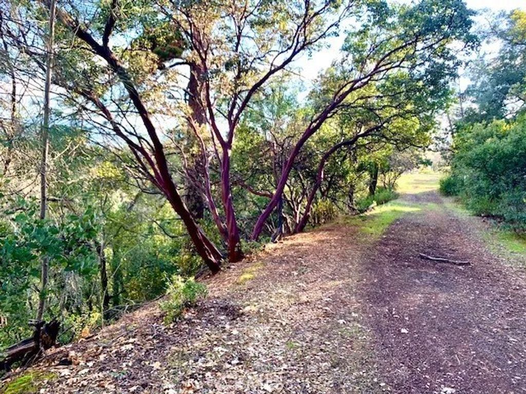 Photo of 7333 Tehama St, Nice, CA 95464 (MLS # LC26014715)