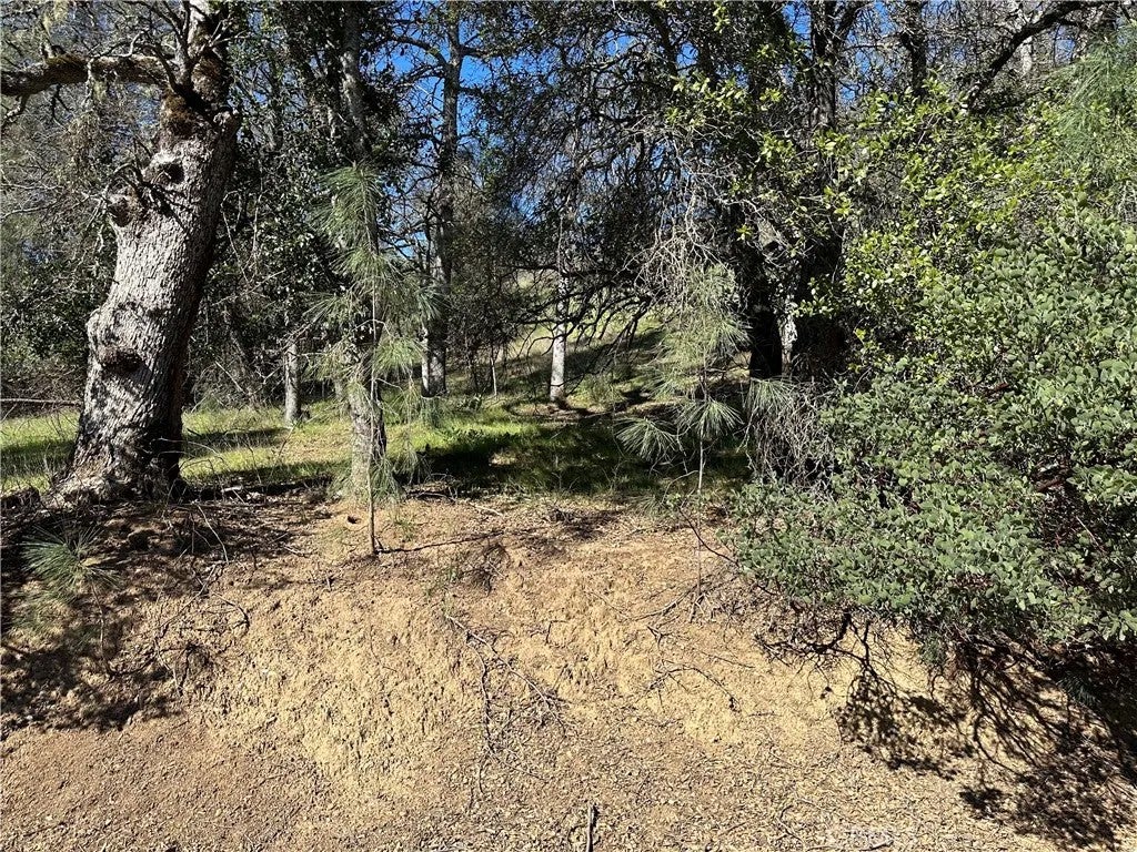 17509 Cache Creek