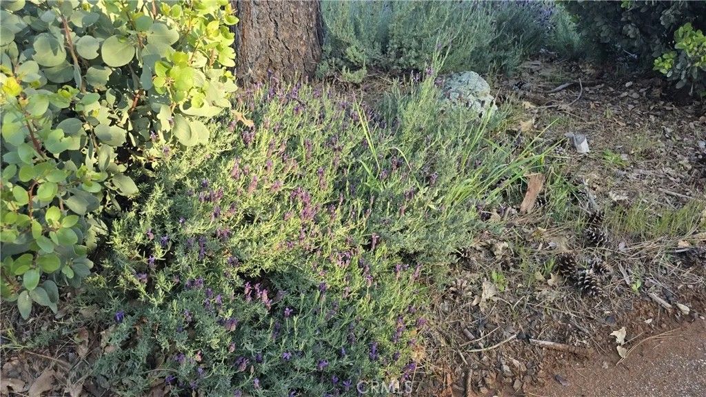 Photo of 6282 Brevard Cir, Magalia, CA 95954 (MLS # SN26111709)