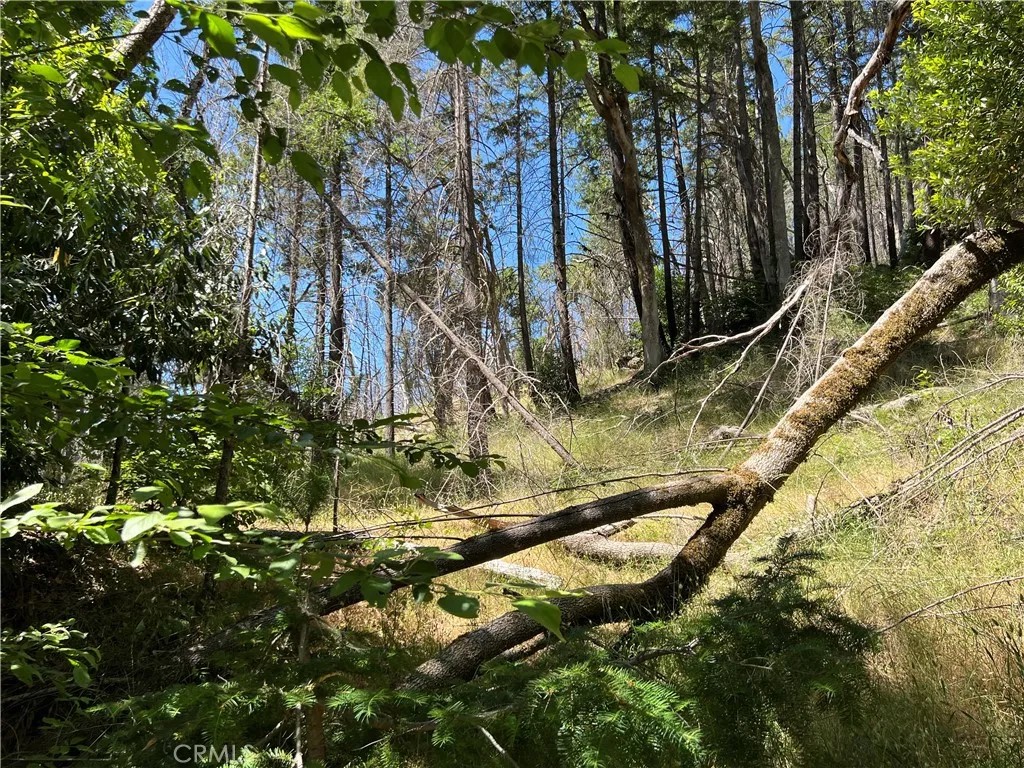 20925 Mid Mountain (17N17 USFS)