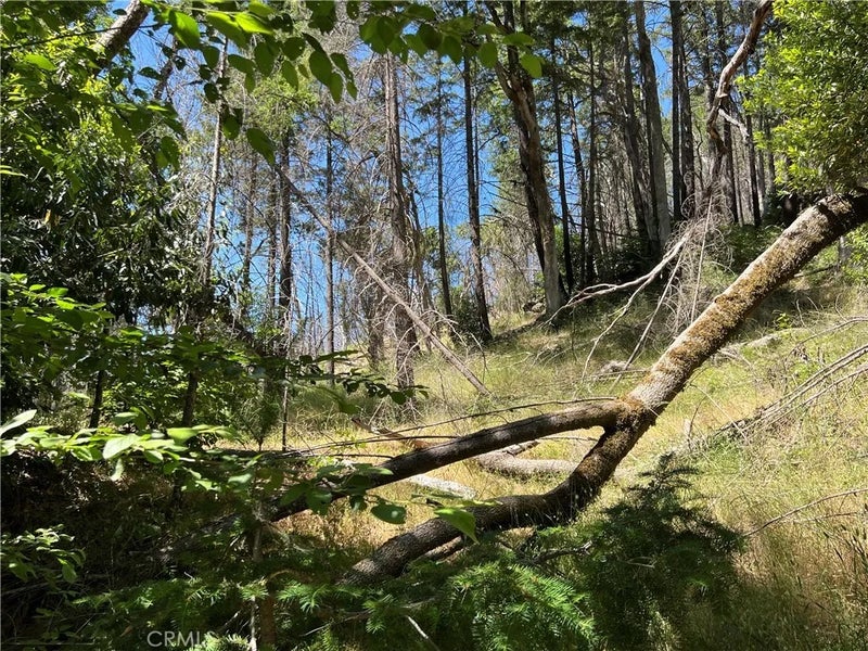 20925 Mid Mountain (17N17 USFS)