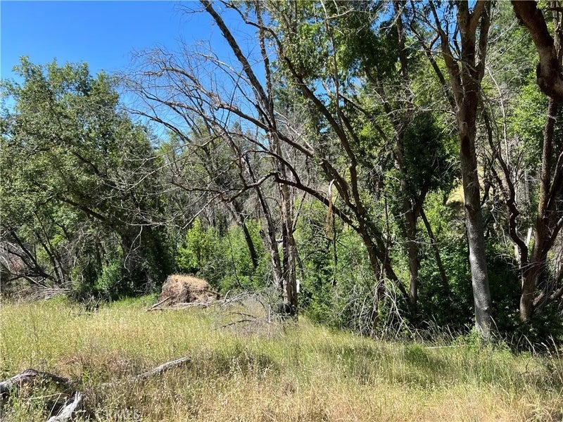 20925 Mid Mountain (17N17 USFS)