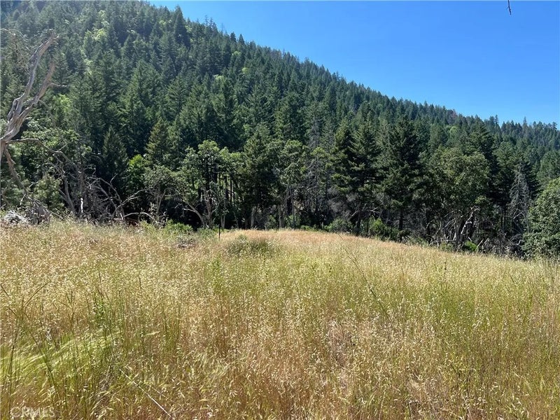 20925 Mid Mountain (17N17 USFS)