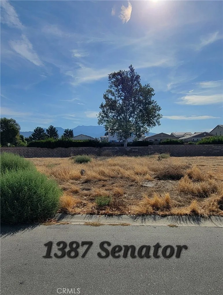 1387 Senator