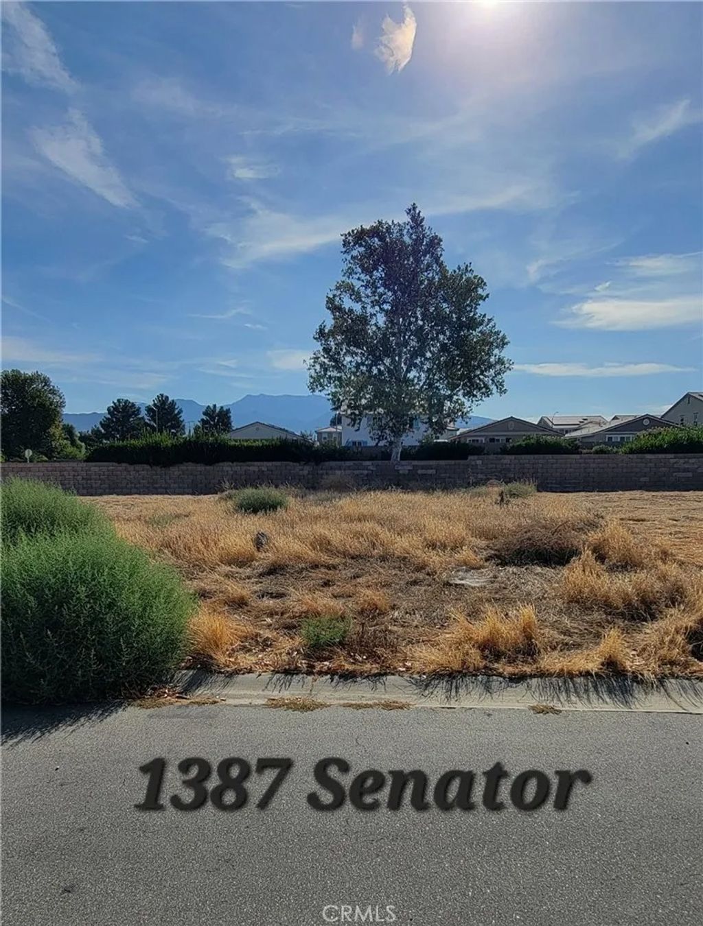 Photo of 1387 Senator Way, San Jacinto, CA 92583 (MLS # IV25227082)