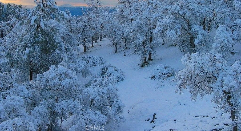 Photo of 0 Revis, Coarsegold, CA 93614 (MLS # SW26019996)