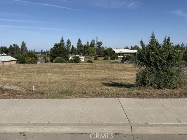 5729 Almond