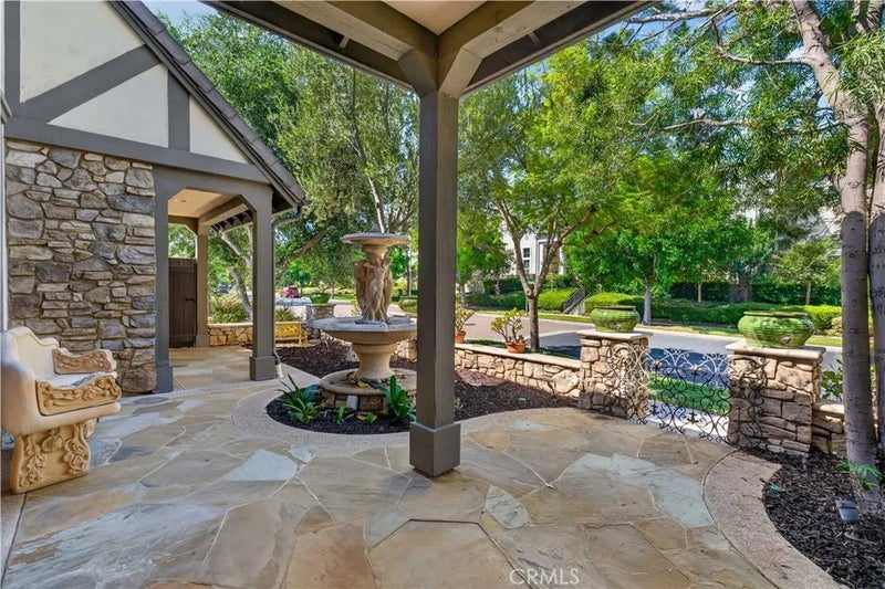 54 Desert Willow