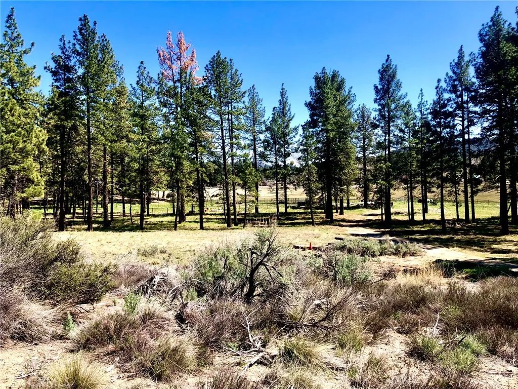 0 Butterfly Peak Rd.
