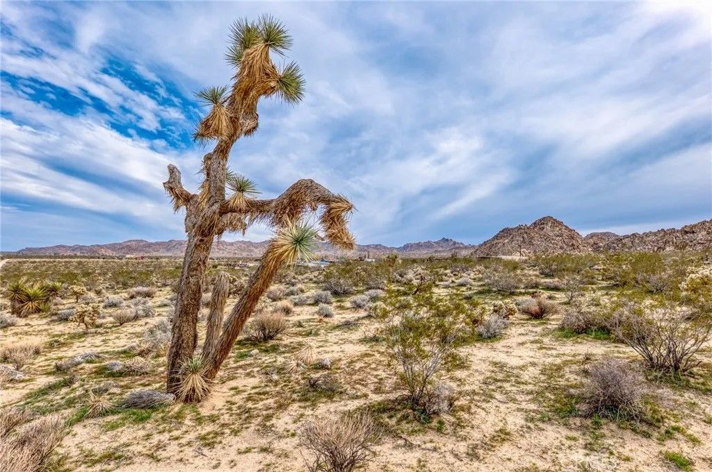 Photo of 130 Hollinger, Joshua Tree, CA 92252 (MLS # JT26029647)