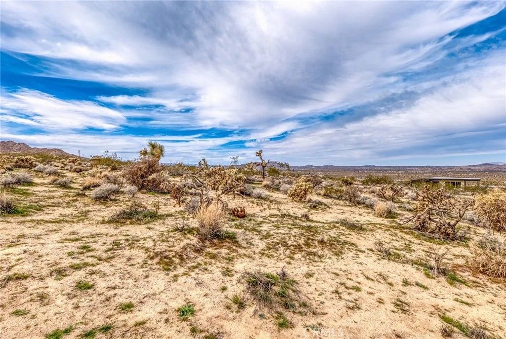 Photo of 130 Hollinger, Joshua Tree, CA 92252 (MLS # JT26029647)